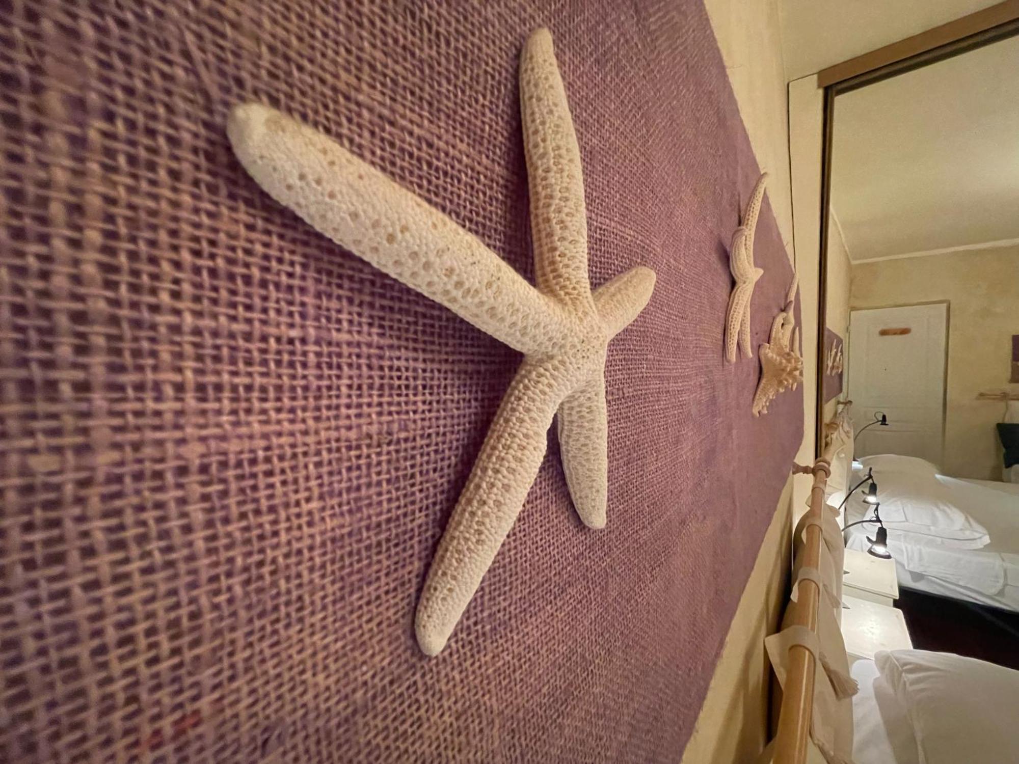 Appartement Le Suquet Style Iv By Connexion